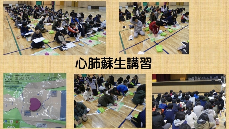 f:id:nawa_tokai_japan:20181206141614j:image