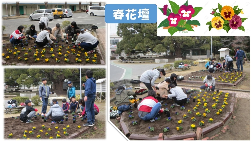 f:id:nawa_tokai_japan:20190207162210j:plain