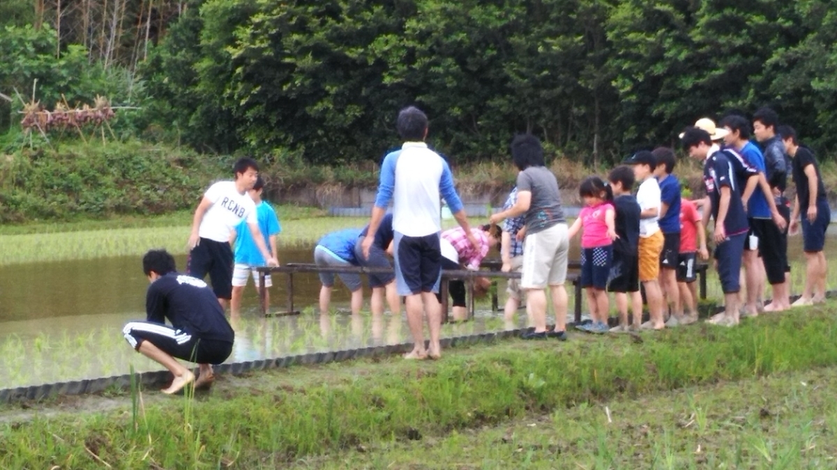 f:id:nawa_tokai_japan:20190608113016j:plain