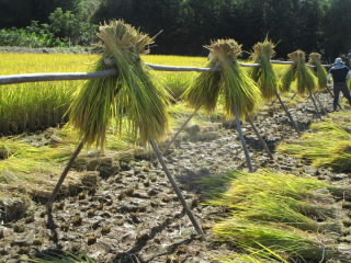 f:id:nawa_tokai_japan:20201015185528j:plain