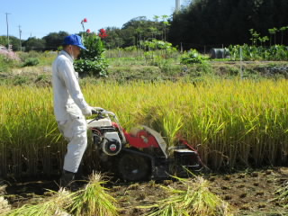 f:id:nawa_tokai_japan:20201015185555j:plain