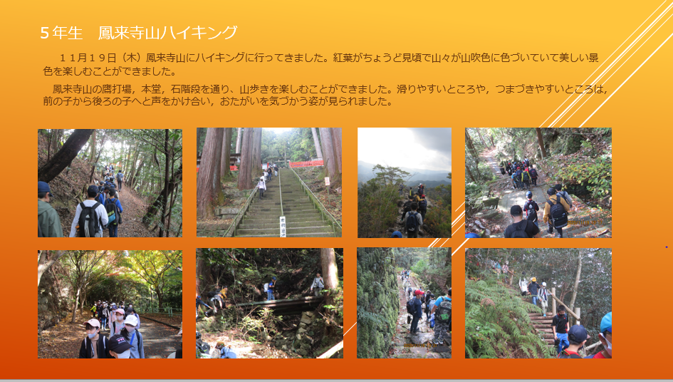 f:id:nawa_tokai_japan:20201119173243p:plain