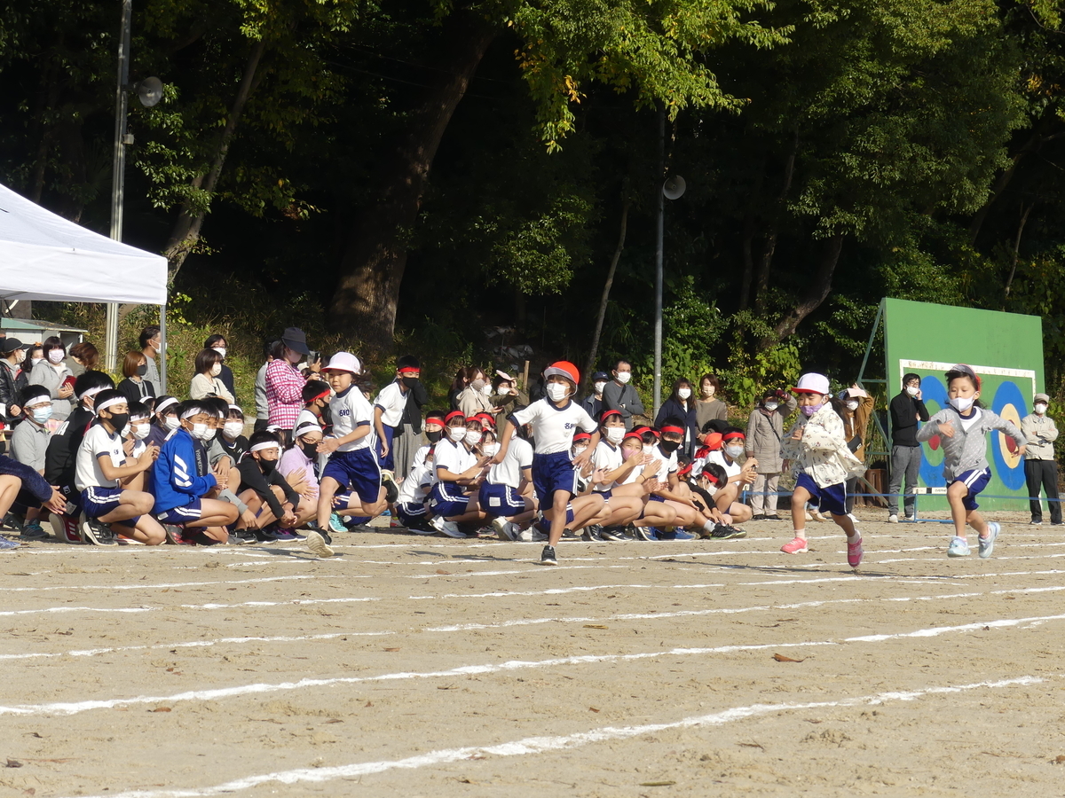 f:id:nawa_tokai_japan:20211112181720j:plain