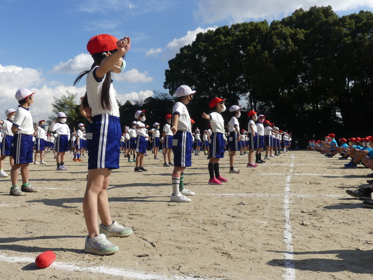 f:id:nawa_tokai_japan:20211112181746j:plain