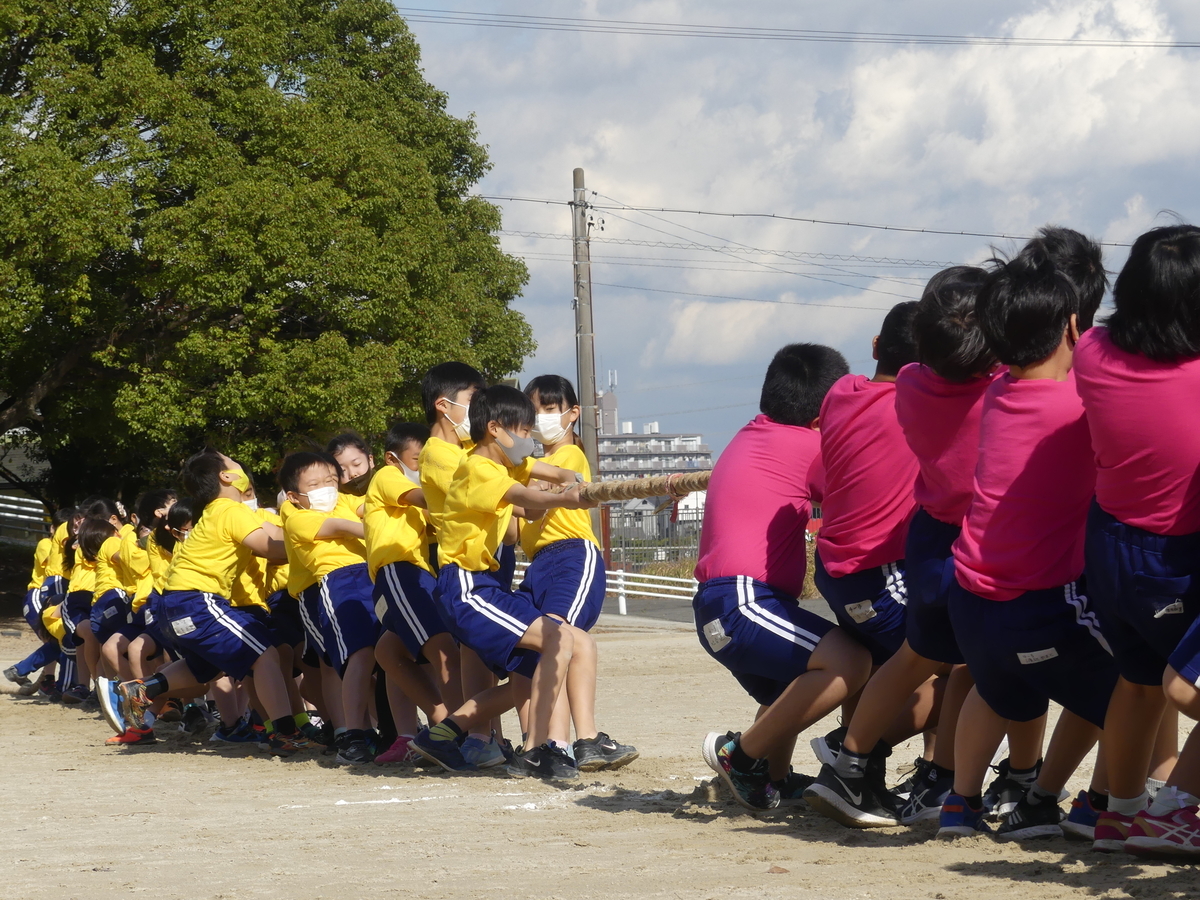 f:id:nawa_tokai_japan:20211112181822j:plain