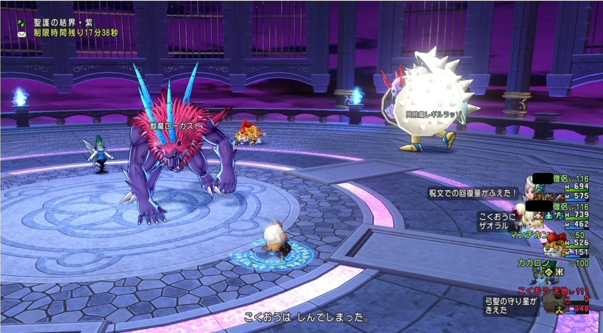 聖守護者を今回こそ倒すのだ 国王なのだ