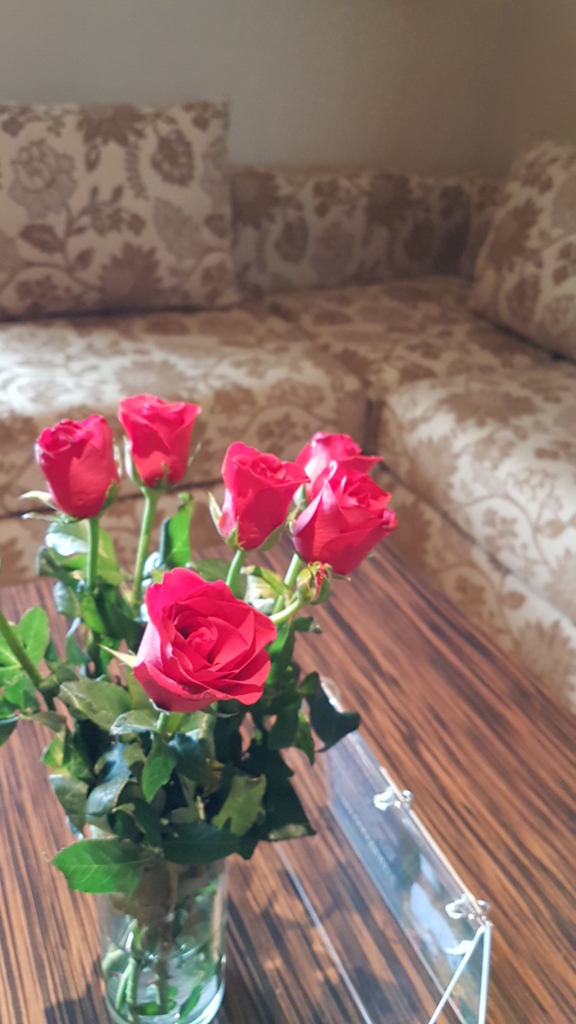 f:id:nawatchy:20161110084911j:plain f:id:nawatchy:20161110084911j:plain