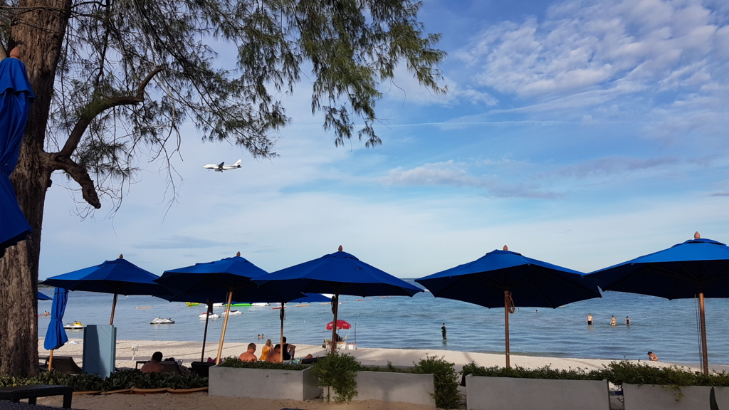 f:id:nawatchy:20161114155621j:plain f:id:nawatchy:20161114155621j:plain