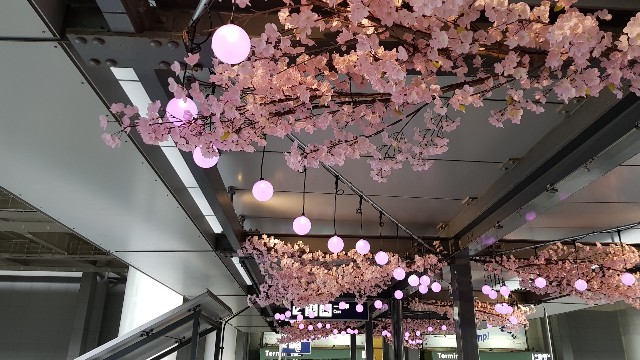 f:id:nawatchy:20180322173701j:image f:id:nawatchy:20180322173701j:image