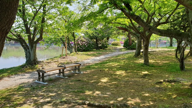 f:id:nawatchy:20180421173945j:image