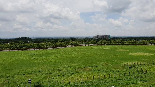 f:id:nawatchy:20180623194055j:image f:id:nawatchy:20180623194055j:image