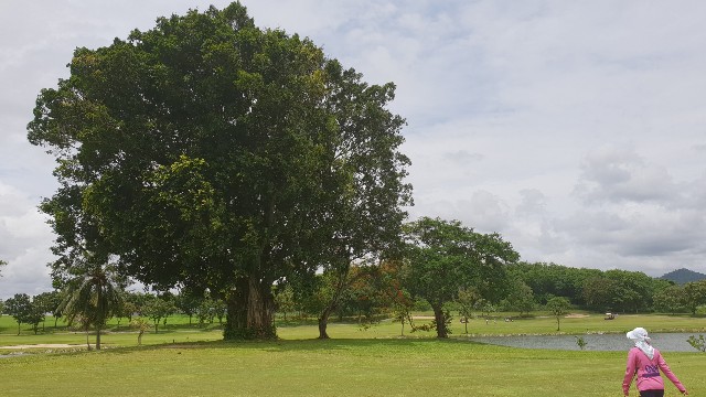 f:id:nawatchy:20180625082844j:image f:id:nawatchy:20180625082844j:image