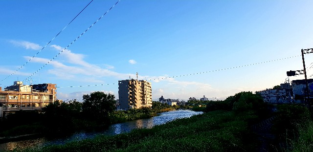 f:id:nawatchy:20180701215020j:image f:id:nawatchy:20180701215020j:image
