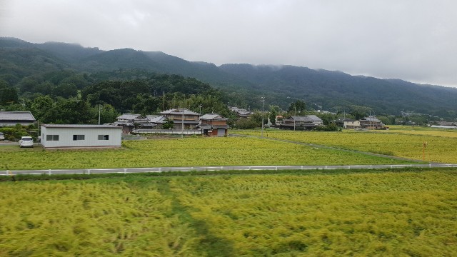f:id:nawatchy:20180909124621j:image f:id:nawatchy:20180909124621j:image