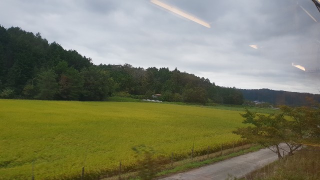 f:id:nawatchy:20180909124700j:image f:id:nawatchy:20180909124700j:image