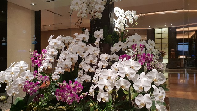 f:id:nawatchy:20181109080701j:image