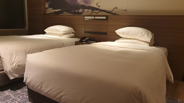 f:id:nawatchy:20190222175631j:image