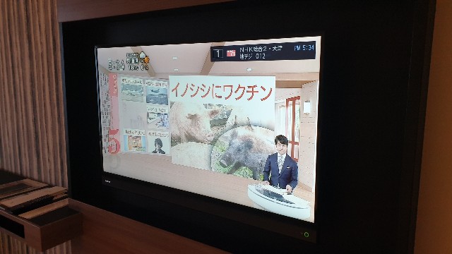 f:id:nawatchy:20190222175706j:image