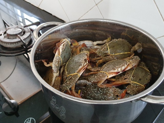 f:id:nawatchy:20190504081610j:image f:id:nawatchy:20190504081610j:image