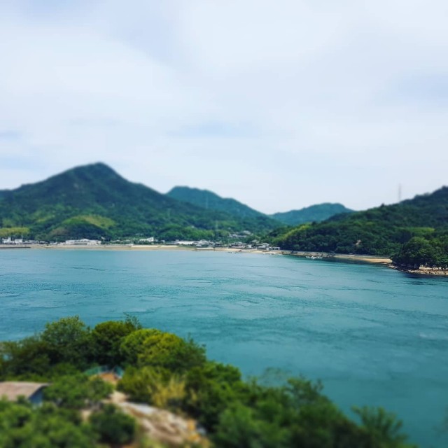 f:id:nawatchy:20190602193856j:image f:id:nawatchy:20190602193856j:image