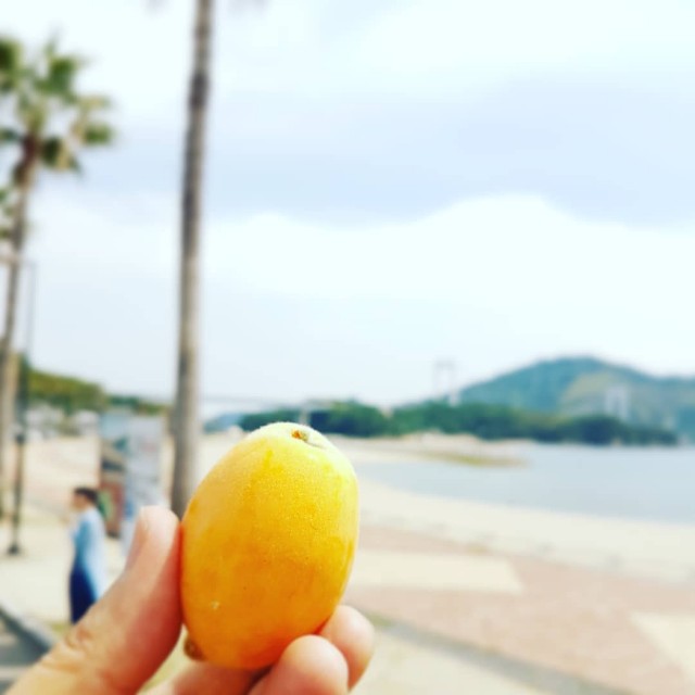 f:id:nawatchy:20190602193953j:image f:id:nawatchy:20190602193953j:image