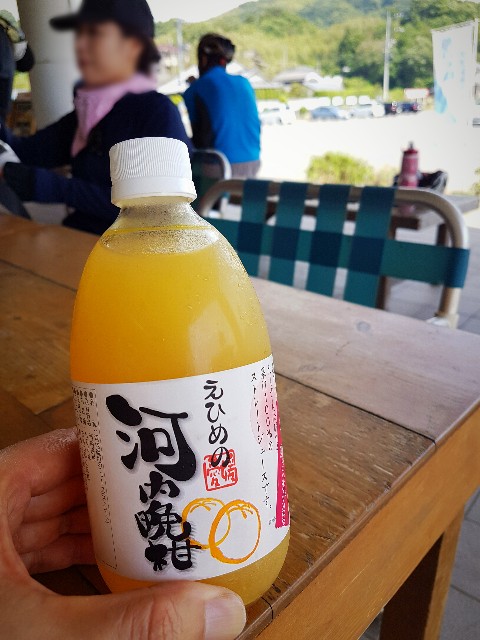 f:id:nawatchy:20190603062216j:image f:id:nawatchy:20190603062216j:image