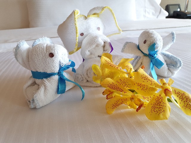 f:id:nawatchy:20190707083458j:image f:id:nawatchy:20190707083458j:image