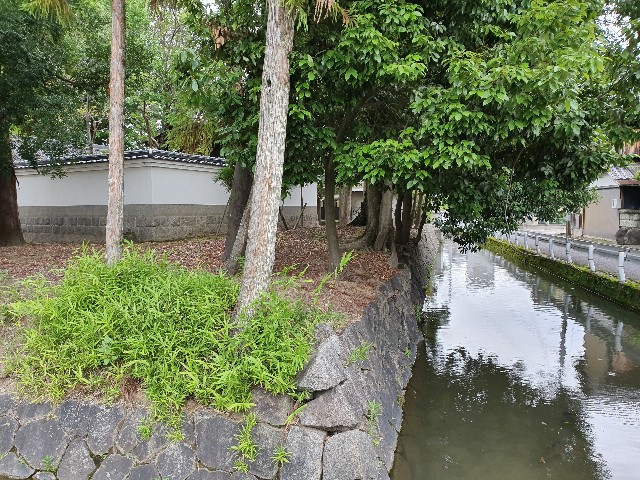 f:id:nawatchy:20190710161218j:image f:id:nawatchy:20190710161218j:image
