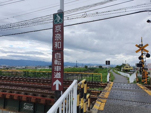 f:id:nawatchy:20190710161256j:image f:id:nawatchy:20190710161256j:image
