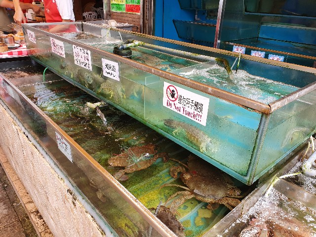 f:id:nawatchy:20190806180834j:image f:id:nawatchy:20190806180834j:image
