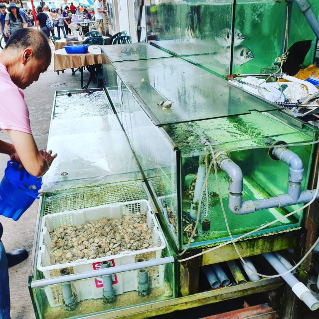 f:id:nawatchy:20190806180952j:image f:id:nawatchy:20190806180952j:image