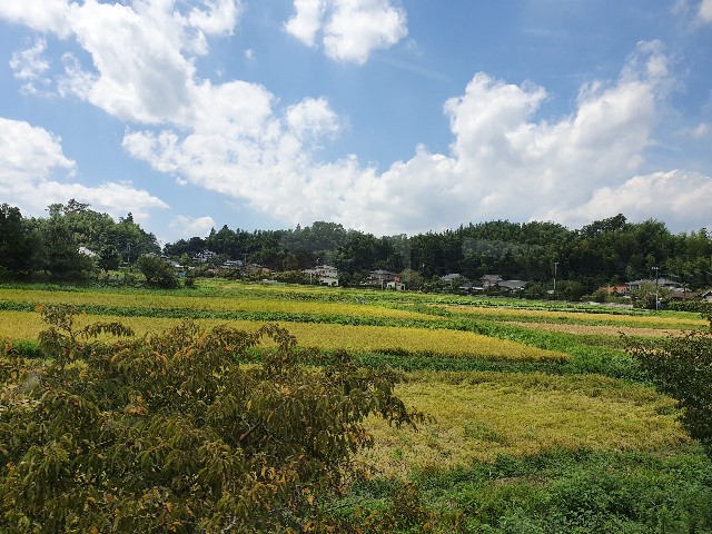 f:id:nawatchy:20190901184909j:image