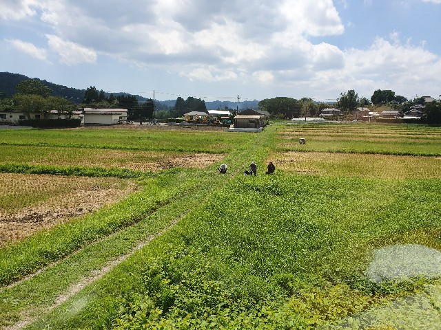 f:id:nawatchy:20190901185427j:image