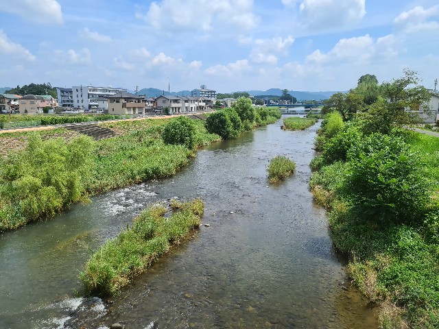 f:id:nawatchy:20200804201200j:image