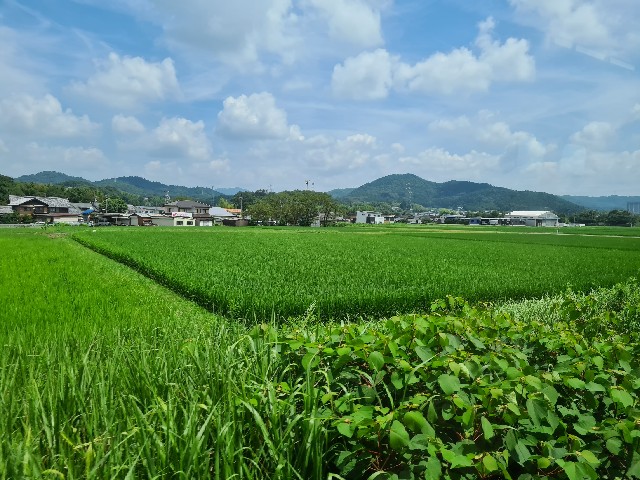 f:id:nawatchy:20200804201230j:image