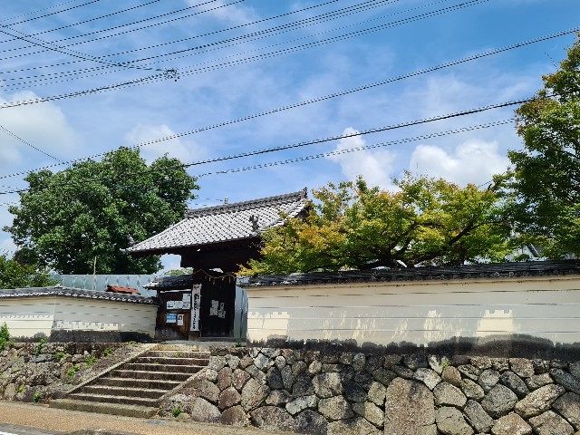 f:id:nawatchy:20200804201333j:image