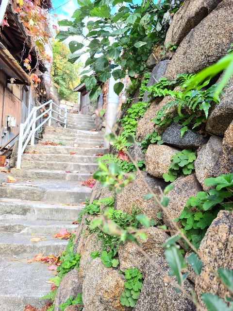 f:id:nawatchy:20201122163502j:plain