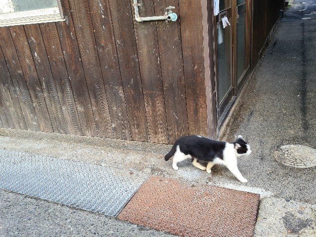 f:id:nawatchy:20201122163525j:plain
