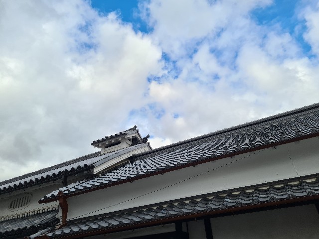 f:id:nawatchy:20201129222313j:image f:id:nawatchy:20201129222313j:image