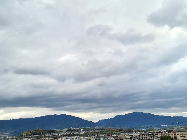 f:id:nawatchy:20201129222433j:image f:id:nawatchy:20201129222433j:image