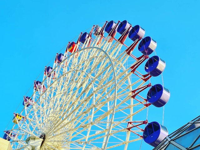 f:id:nawatchy:20201211223023j:image f:id:nawatchy:20201211223023j:image