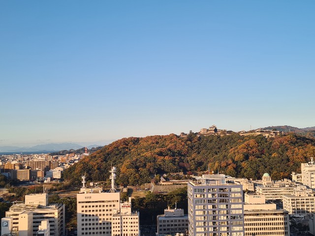 f:id:nawatchy:20201211223035j:image f:id:nawatchy:20201211223035j:image
