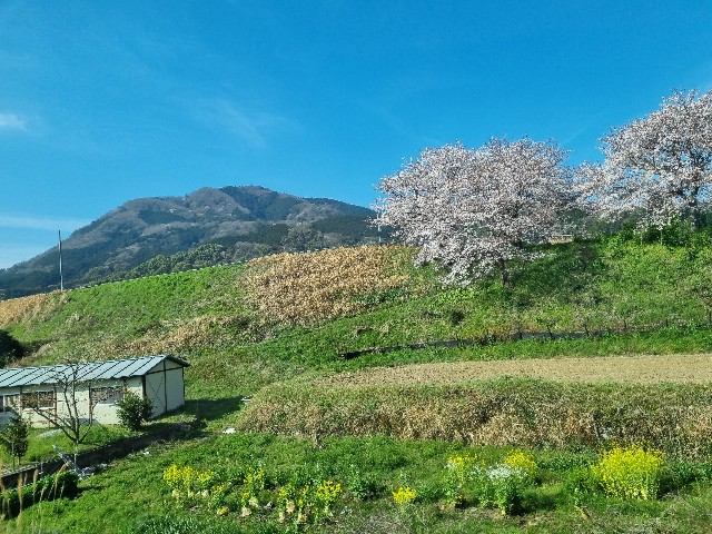 f:id:nawatchy:20210327201058j:image f:id:nawatchy:20210327201058j:image