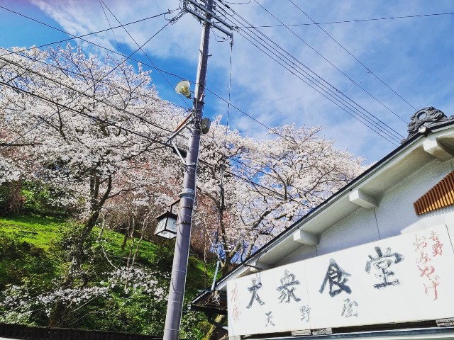 f:id:nawatchy:20210327202238j:image f:id:nawatchy:20210327202238j:image