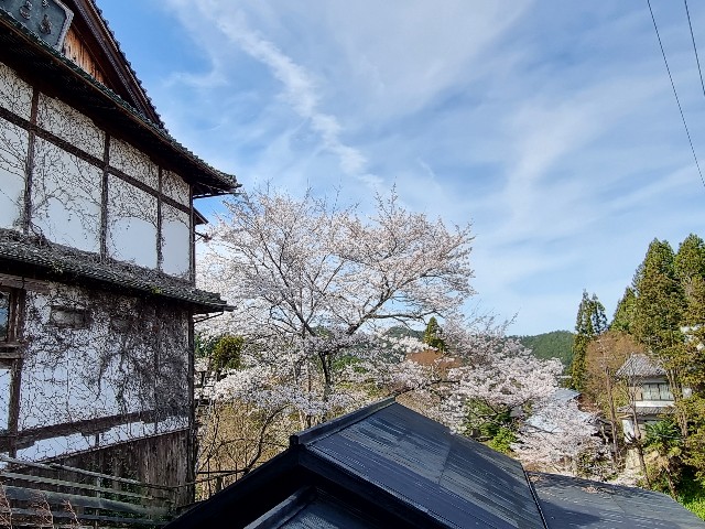 f:id:nawatchy:20210327202343j:image f:id:nawatchy:20210327202343j:image