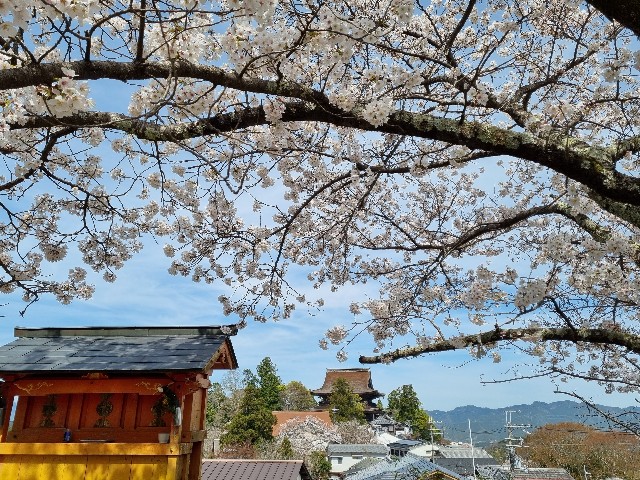 f:id:nawatchy:20210328091221j:image f:id:nawatchy:20210328091221j:image