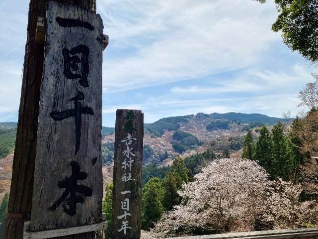 f:id:nawatchy:20210328091523j:image f:id:nawatchy:20210328091523j:image