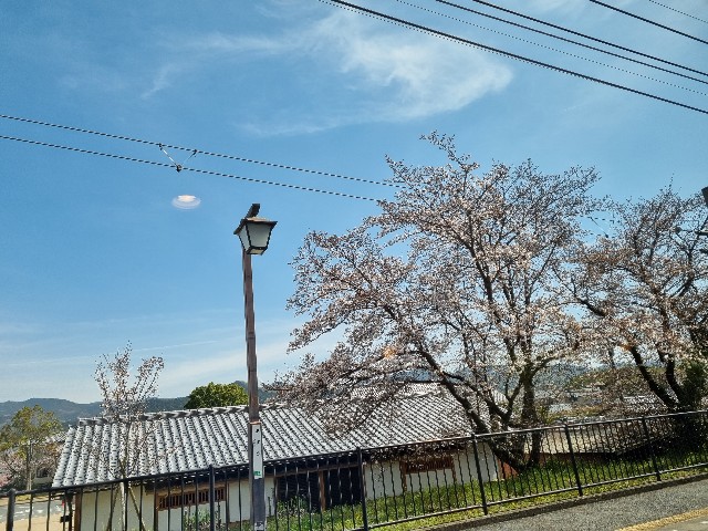 f:id:nawatchy:20210328092237j:image f:id:nawatchy:20210328092237j:image