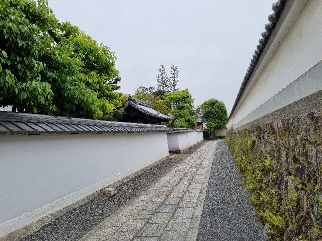 f:id:nawatchy:20210508160047j:image f:id:nawatchy:20210508160047j:image