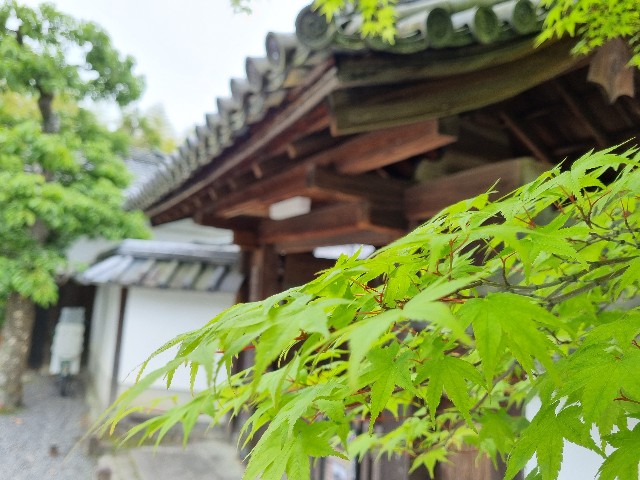 f:id:nawatchy:20210508160107j:image f:id:nawatchy:20210508160107j:image